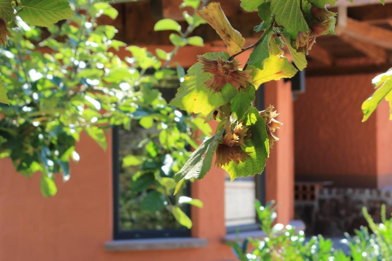 Ferienwohnung Altschloss 에펜브룬 외부 사진